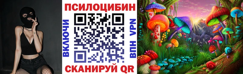 Псилоцибиновые грибы Cubensis Кузнецк