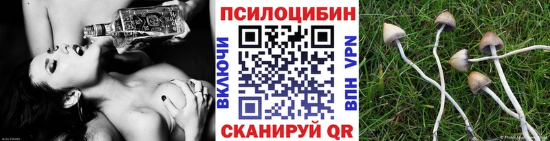 Купить где  Кузнецк  Галлюциногенные грибы GOLDEN TEACHER 